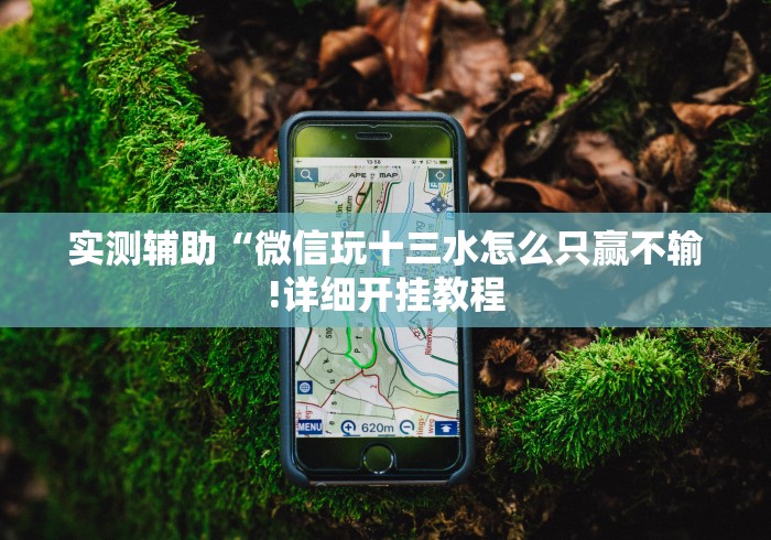 实测辅助“微信玩十三水怎么只赢不输!详细开挂教程