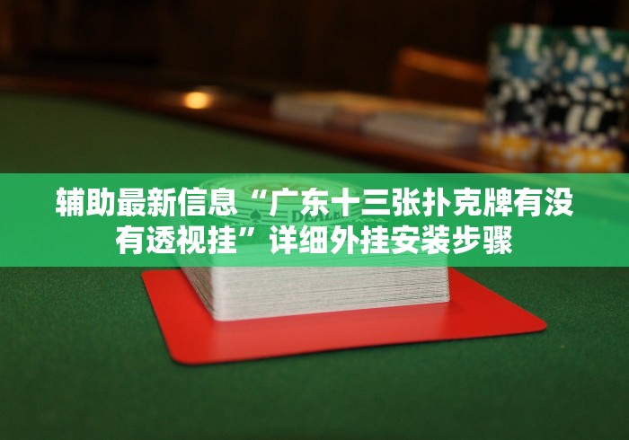 辅助最新信息“广东十三张扑克牌有没有透视挂”详细外挂安装步骤