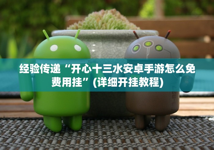 经验传递“开心十三水安卓手游怎么免费用挂”(详细开挂教程)