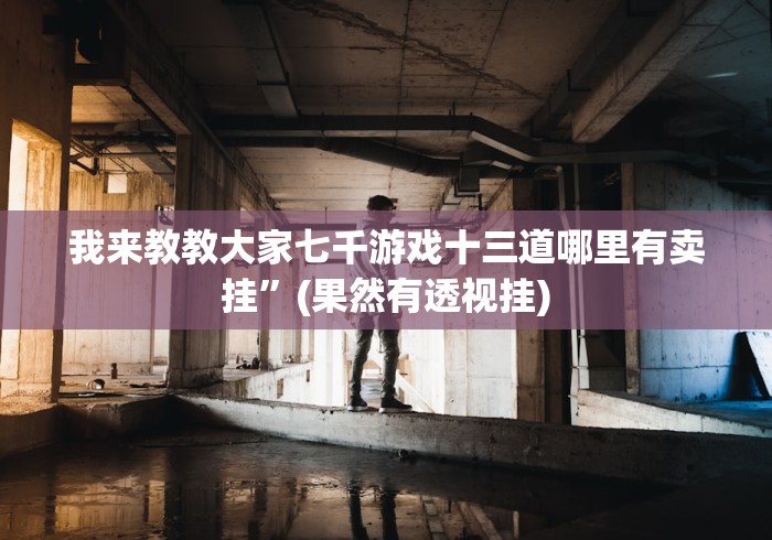 我来教教大家七千游戏十三道哪里有卖挂”(果然有透视挂)