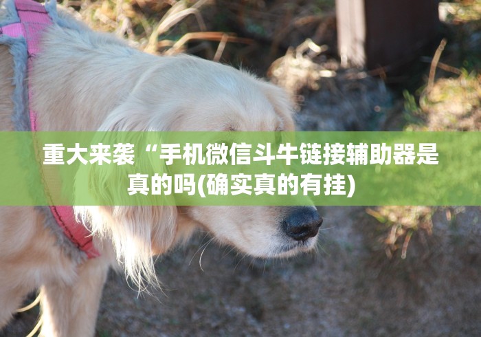 重大来袭“手机微信斗牛链接辅助器是真的吗(确实真的有挂)