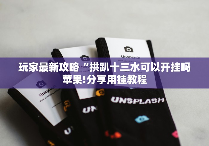 辅助神器“棋牌大师安卓最新版如何拿到好牌”-开挂神器-包教包会