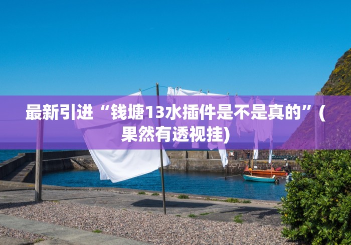 最新引进“钱塘13水插件是不是真的”(果然有透视挂)