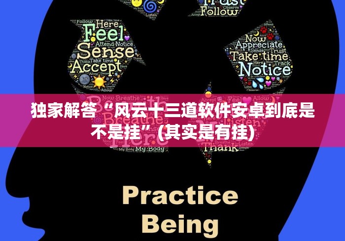 独家解答“风云十三道软件安卓到底是不是挂”(其实是有挂)