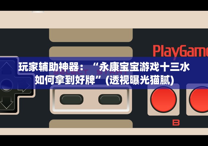 玩家辅助神器：“永康宝宝游戏十三水如何拿到好牌”(透视曝光猫腻)