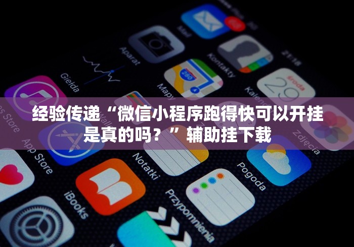 经验传递“微信小程序跑得快可以开挂是真的吗？”辅助挂下载