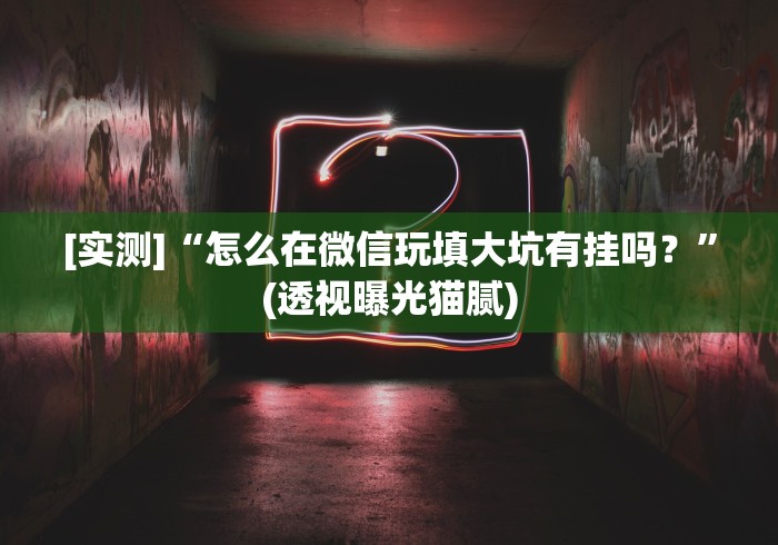 [实测]“怎么在微信玩填大坑有挂吗？”(透视曝光猫腻)