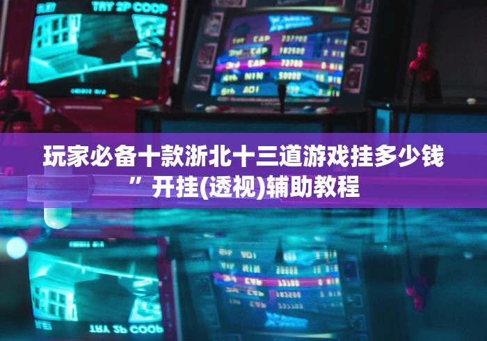 玩家必备十款浙北十三道游戏挂多少钱”开挂(透视)辅助教程