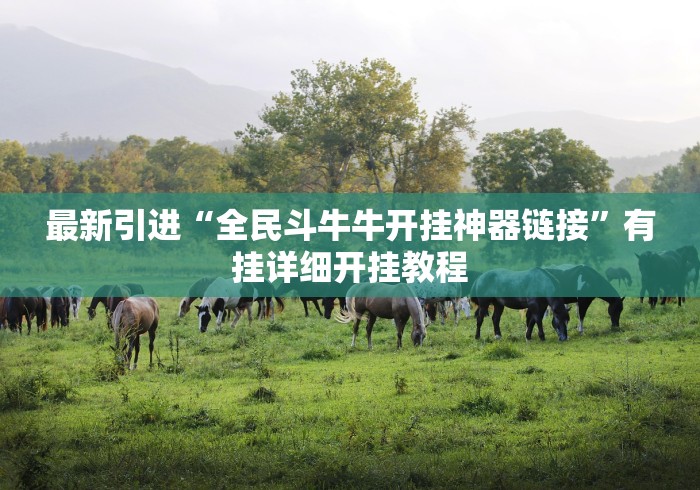 最新引进“全民斗牛牛开挂神器链接”有挂详细开挂教程