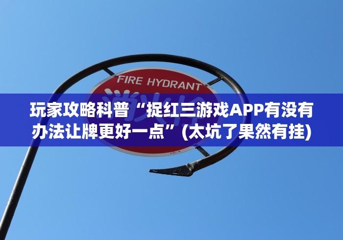 玩家攻略科普“捉红三游戏APP有没有办法让牌更好一点”(太坑了果然有挂)