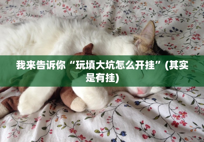 我来告诉你“玩填大坑怎么开挂”(其实是有挂)